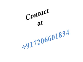 online busines oppournity