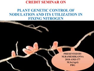 CREDIT SEMINAR ON
PLANT GENETIC CONTROL OF
NODULATION AND ITS UTILIZATION IN
FIXING NITROGEN
 