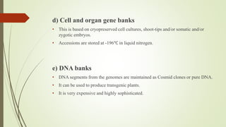 d) Cell and organ gene banks
• This is based on cryopreserved cell cultures, shoot-tips and/or somatic and/or
zygotic embryos.
• Accessions are stored at -196℃ in liquid nitrogen.
e) DNA banks
• DNA segments from the genomes are maintained as Cosmid clones or pure DNA.
• It can be used to produce transgenic plants.
• It is very expensive and highly sophisticated.
 