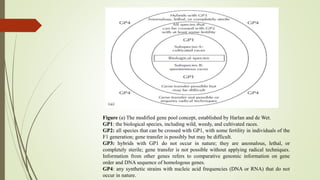 Figure (a) The modified gene pool concept, established by Harlan and de Wet.
GP1: the biological species, including wild, weedy, and cultivated races.
GP2: all species that can be crossed with GP1, with some fertility in individuals of the
F1 generation; gene transfer is possibly but may be difficult.
GP3: hybrids with GP1 do not occur in nature; they are anomalous, lethal, or
completely sterile; gene transfer is not possible without applying radical techniques.
Information from other genes refers to comparative genomic information on gene
order and DNA sequence of homologous genes.
GP4: any synthetic strains with nucleic acid frequencies (DNA or RNA) that do not
occur in nature.
 