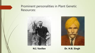 Prominent personalities in Plant Genetic
Resources:
N.I. Vavilov Dr. H.B. Singh
 
