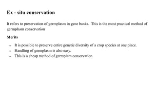 Ex - situ conservation
It refers to preservation of germplasm in gene banks. This is the most practical method of
germplasm conservation
Merits
● It is possible to preserve entire genetic diversity of a crop species at one place.
● Handling of germplasm is also easy.
● This is a cheap method of germplam conservation.
 