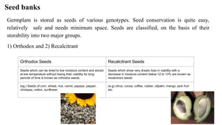 Seed banks
Germplam is stored as seeds of various genotypes. Seed conservation is quite easy,
relatively safe and needs minimum space. Seeds are classified, on the basis of their
storability into two major groups.
1) Orthodox and 2) Recalcitrant
Orthodox Seeds Recalcitrant Seeds
Seeds which can be dried to low moisture content and stored
at low temperature without losing their viability for long
periods of time is known as orthodox seeds.
Seeds which show very drastic loss in viability with a
decrease in moisture content below 12 to 13% are known as
recalcitrant seeds.
(eg.) Seeds of corn, wheat, rice, carrot, papaya, pepper,
chickpea, cotton, sunflower.
(e.g) citrus, cocoa, coffee, rubber, oilpalm, mango, jack fruit
etc.
 