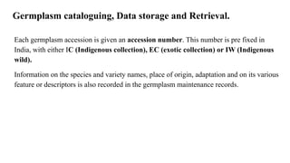Germplasm cataloguing, Data storage and Retrieval.
Each germplasm accession is given an accession number. This number is pre fixed in
India, with either IC (Indigenous collection), EC (exotic collection) or IW (Indigenous
wild).
Information on the species and variety names, place of origin, adaptation and on its various
feature or descriptors is also recorded in the germplasm maintenance records.
 