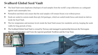 Svalbard Global Seed Vault
● The Seed Vault stores duplicates (backups) of seed samples from the world’s crop collections as a safeguard
against such catastrophic loss.
● Permafrost and thick rock ensure that the seed samples will remain frozen even without power.
● Seeds are sealed in custom-made three-ply foil packages, which are sealed inside boxes and stored on shelves
inside the Seed Vault.
● The low temperature and moisture levels inside the Seed Vault ensure low metabolic activity, keeping the seeds
viable for long periods of time.
● The Svalbard Global Seed Vault is owned by Norway and managed in partnership between the Norwegian
Ministry of Agriculture and Food, the regional genebank NordGen and the Crop Trust.
 