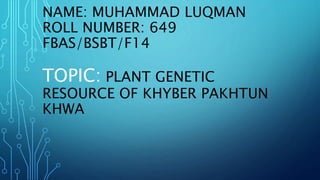 NAME: MUHAMMAD LUQMAN
ROLL NUMBER: 649
FBAS/BSBT/F14
TOPIC: PLANT GENETIC
RESOURCE OF KHYBER PAKHTUN
KHWA
 