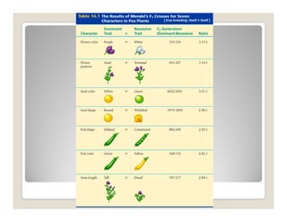 Plant genetics | PDF