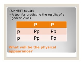 PUNNETT squareU squa
- A tool for predicting the results of a
genetic cross
P P
p Pp Pp
p Pp Pp
What will be the physicalWhat will be the physical
appearance?appearance?appearance?appearance?
 