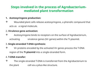 Plant Genetic transformation methods By Gerema.pptx