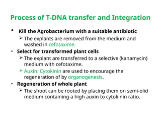 Plant Genetic transformation methods By Gerema.pptx