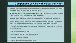 Plant genome project | PPTX