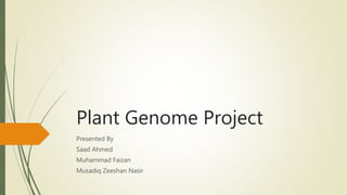 Plant Genome Project
Presented By
Saad Ahmed
Muhammad Faizan
Musadiq Zeeshan Nasir
 