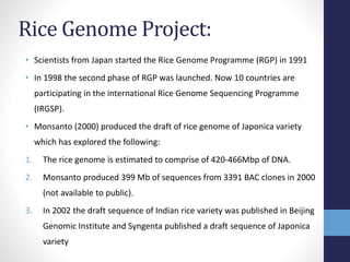 Plant genome project, tahira ali rai | PPTX