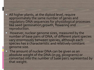  All higher plants, at the diploid level, require
approximately the same number of genes and
regulatory DNA sequences for physiological processes
like seed germination,growth, flowering and
reproduction.
 However, nuclear genome sizes, measured by the
number of base pairs of DNA, of different plant species
vary enormously between species, although each
species has a characteristic and relatively constant
genome size.
 The amount of nuclear DNA can be given as an
absolute weight of the DNA (in pg, picograms) or
converted into the number of base pairs represented by
that weight.
 