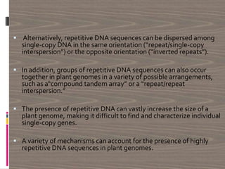  Alternatively, repetitive DNA sequences can be dispersed among
single-copy DNA in the same orientation (“repeat/single-copy
interspersion”) or the opposite orientation (“inverted repeats”).
 In addition, groups of repetitive DNA sequences can also occur
together in plant genomes in a variety of possible arrangements,
such as a“compound tandem array” or a “repeat/repeat
interspersion.”
 The presence of repetitive DNA can vastly increase the size of a
plant genome, making it difficult to find and characterize individual
single-copy genes.
 A variety of mechanisms can account for the presence of highly
repetitive DNA sequences in plant genomes.
 