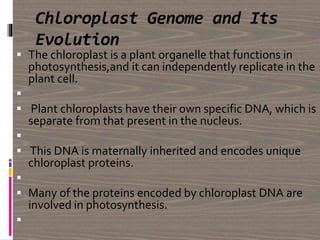Chloroplast Genome and Its
Evolution
 The chloroplast is a plant organelle that functions in
photosynthesis,and it can independently replicate in the
plant cell.

 Plant chloroplasts have their own specific DNA, which is
separate from that present in the nucleus.

 This DNA is maternally inherited and encodes unique
chloroplast proteins.

 Many of the proteins encoded by chloroplast DNA are
involved in photosynthesis.

 