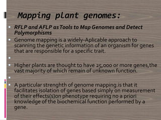 Mapping plant genomes:
 RFLP and AFLP asTools to Map Genomes and Detect
Polymorphisms
 Genome mapping is a widely-Aplicable approach to
scanning the genetic information of an organism for genes
that are responsible for a specific trait.

 Higher plants are thought to have 25,000 or more genes,the
vast majority of which remain of unknown function.

 A particular strenghth of genome mapping.is that it
facilitates isolation of genes based simply on measurement
of their effects(s)on phenotype requiring no a priori
knowledge of the biochemical function performed by a
gene.
 