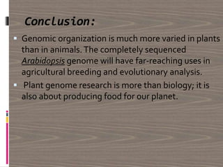 Conclusion:
 Genomic organization is much more varied in plants
than in animals.The completely sequenced
Arabidopsis genome will have far-reaching uses in
agricultural breeding and evolutionary analysis.
 Plant genome research is more than biology; it is
also about producing food for our planet.
 