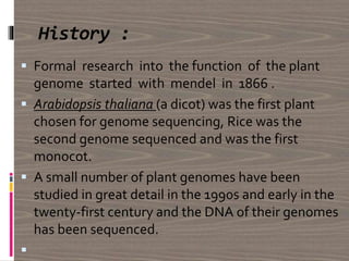 History :
 Formal research into the function of the plant
genome started with mendel in 1866 .
 Arabidopsis thaliana (a dicot) was the first plant
chosen for genome sequencing, Rice was the
second genome sequenced and was the first
monocot.
 A small number of plant genomes have been
studied in great detail in the 1990s and early in the
twenty-first century and the DNA of their genomes
has been sequenced.

 