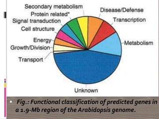  Fig.: Functional classification of predicted genes in
a 1.9-Mb region of the Arabidopsis genome.
 