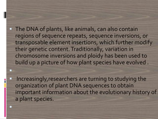  The DNA of plants, like animals, can also contain
regions of sequence repeats, sequence inversions, or
transposable element insertions, which further modify
their genetic content.Traditionally, variation in
chromosome inversions and ploidy has been used to
build up a picture of how plant species have evolved .

 Increasingly,researchers are turning to studying the
organization of plant DNA sequences to obtain
important information about the evolutionary history of
a plant species.

 