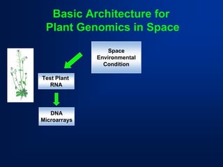 Basic Architecture for 
Plant Genomics in Space 
Space 
Environmental 
Condition 
Test Plant 
RNADNAMicroarrays  