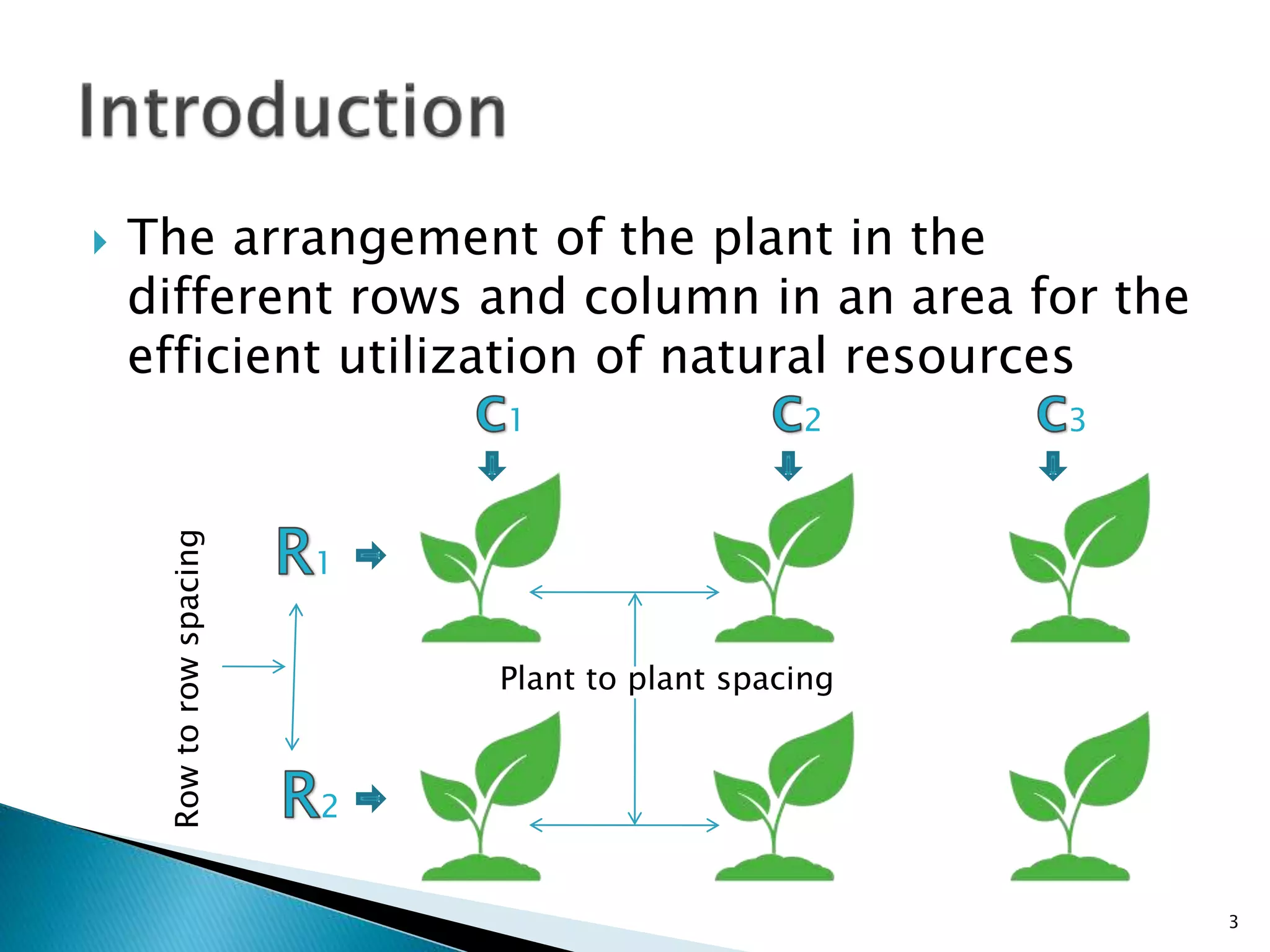 Plant geometry | PPTX | Agriculture | Industries