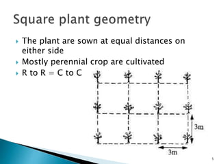 Plant geometry | PPT