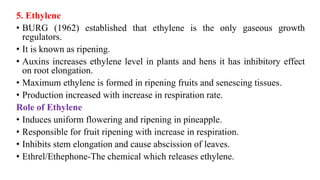 5. Ethylene
• BURG (1962) established that ethylene is the only gaseous growth
regulators.
• It is known as ripening.
• Auxins increases ethylene level in plants and hens it has inhibitory effect
on root elongation.
• Maximum ethylene is formed in ripening fruits and senescing tissues.
• Production increased with increase in respiration rate.
Role of Ethylene
• Induces uniform flowering and ripening in pineapple.
• Responsible for fruit ripening with increase in respiration.
• Inhibits stem elongation and cause abscission of leaves.
• Ethrel/Ethephone-The chemical which releases ethylene.
 