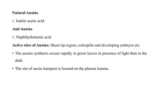 Natural Auxins
1. Indole acetic acid
Anti Auxins
1. Naphthythalamic acid
Active sites of Auxins: Shoot tip region, coleoptile and developing embryos etc.
• The auxins synthesis occurs rapidly in green leaves in presence of light than in the
dark.
• The site of auxin transport is located on the plasma lemma.
 