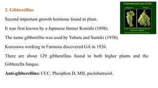 2. Gibberellins
Second important growth hormone found in plant.
It was first known by a Japanese farmer Konishi (1898).
The name gibberellin was used by Yabuta and Sumiki (1938).
Kurosawa working in Farmosa discovered GA in 1926.
There are about 129 gibberellins found in both higher plants and the
Gibberella fungus.
Anti-gibberellins: CCC, Phosphon D, MH, paclobutrazol.
 