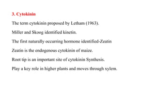 3. Cytokinin
The term cytokinin proposed by Letham (1963).
Miller and Skoog identified kinetin.
The first naturally occurring hormone identified-Zeatin
Zeatin is the endogenous cytokinin of maize.
Root tip is an important site of cytokinin Synthesis.
Play a key role in higher plants and moves through xylem.
 