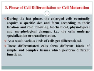 3. Phase of Cell Differentiation or Cell Maturation
During the last phase, the enlarged cells eventually
acquire a specific size and form according to their
location and role following biochemical, physiological
and morphological changes, i.e., the cells undergo
specialization or transformation.
 As a result, various kinds of cells get differentiated.
These differentiated cells form different kinds of
simple and complex tissues which perform different
functions.
 