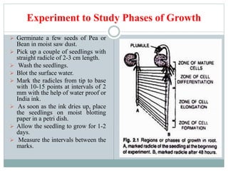 Experiment to Study Phases of Growth
 Germinate a few seeds of Pea or
Bean in moist saw dust.
 Pick up a couple of seedlings with
straight radicle of 2-3 cm length.
 Wash the seedlings.
 Blot the surface water.
 Mark the radicles from tip to base
with 10-15 points at intervals of 2
mm with the help of water proof or
India ink.
 As soon as the ink dries up, place
the seedlings on moist blotting
paper in a petri dish.
 Allow the seedling to grow for 1-2
days.
 Measure the intervals between the
marks.
 
