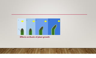 plant growth regulations -soil and agricultural microbiology | PDF
