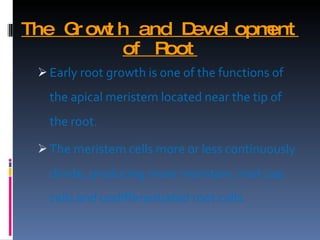 The Growth and Development of Root Early root growth is one of the functions of the apical meristem located near the tip of the root.  The meristem cells more or less continuously divide, producing more meristem, root cap cells and undifferentiated root cells.  