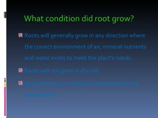 What condition did root grow? Roots will generally grow in any direction where the correct environment of air, mineral nutrients and water exists to meet the plant's needs.  Roots will not grow in dry soil.  At germination, roots grow downward due to gravitropism. 