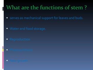 What are the functions of stem ? serves as mechanical support for leaves and buds. Water and food storage. Reproduction Photosynthesis New growth 