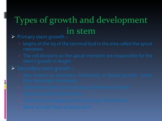 Types of growth and development in stem Primary stem growth :- begins at the tip of the terminal bud in the area called the apical meristem.  The cell divisions on the apical meristem are responsible for the stem's growth in length.  Secondary stem growth :- Also known as  secondary thickening or lateral growth  arises from secondary meristems. Secondary xylem and secondary phloem are formed. Stems are tend to thickening. Cambium is developed at the outer part of the stem. More stronger than primary stem. 