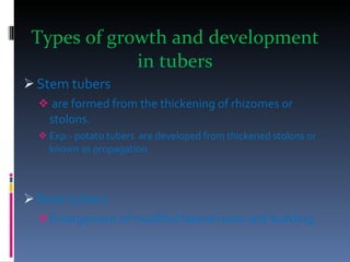 Types of growth and development in tubers Stem tubers are formed from the thickening of rhizomes or stolons. Exp:- potato tubers  are developed from thickened stolons or known as propagation. Root tubers Enlargement of modified lateral roots and budding.  