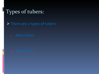 Types of tubers: There are 2 types of tubers: Stem tubers  Root tubers 