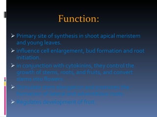 Function: Primary site of synthesis in shoot apical meristem and young leaves. influence cell enlargement, bud formation and root initiation. in conjunction with cytokinins, they control the growth of stems, roots, and fruits, and convert stems into flowers. Stimulate stem elongation and promotes the formation of lateral and adventitious roots. Regulates development of fruit.  