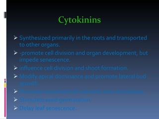 Cytokinins Synthesized primarily in the roots and transported to other organs. -promote cell division and organ development, but impede senescence.  influence cell division and shoot formation. Modify apical dominance and promote lateral bud growth. Promote movement of nutrients into sink tissues. Stimulate seed germination. Delay leaf senescence. 