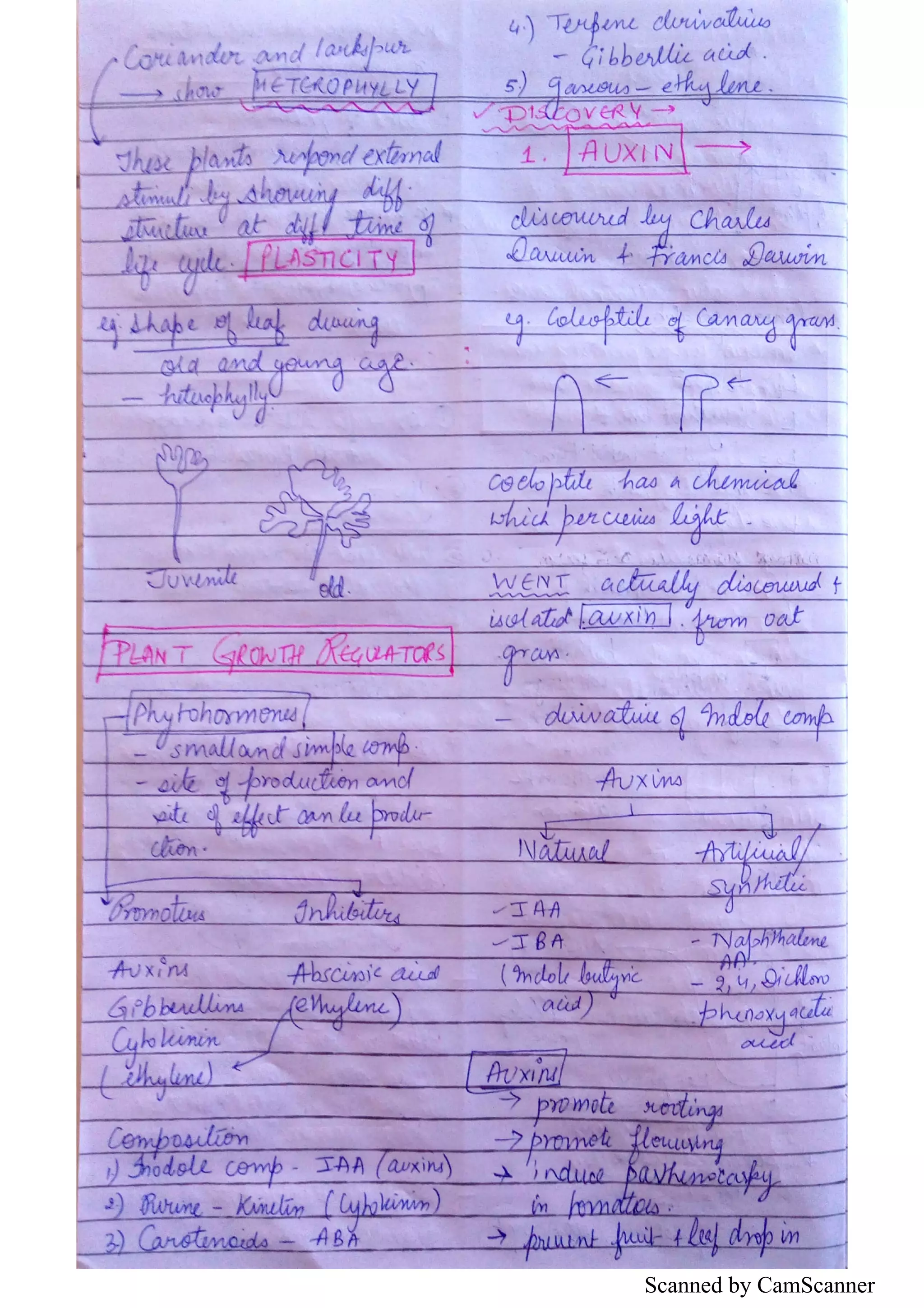 Scanned by CamScanner