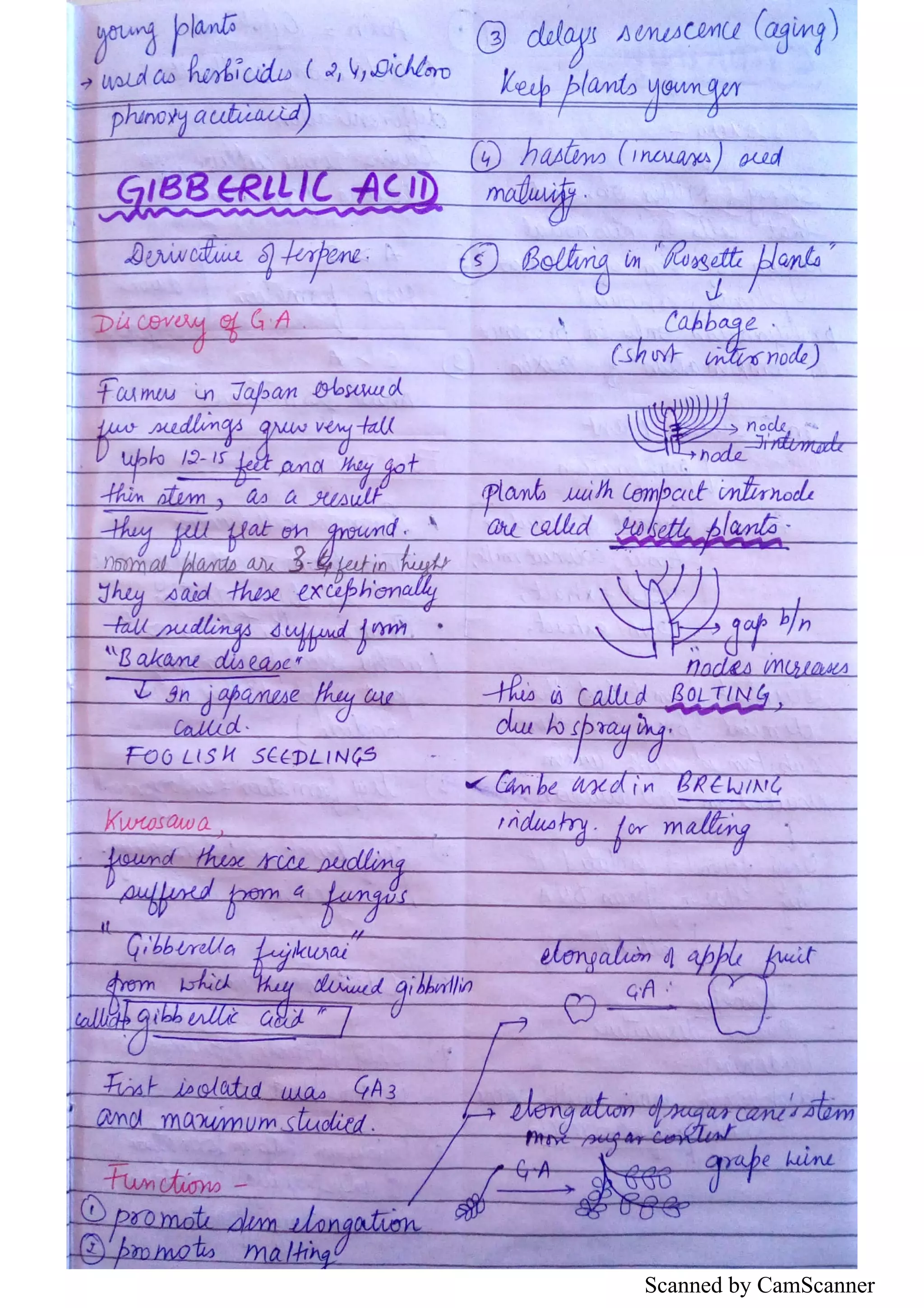 Scanned by CamScanner