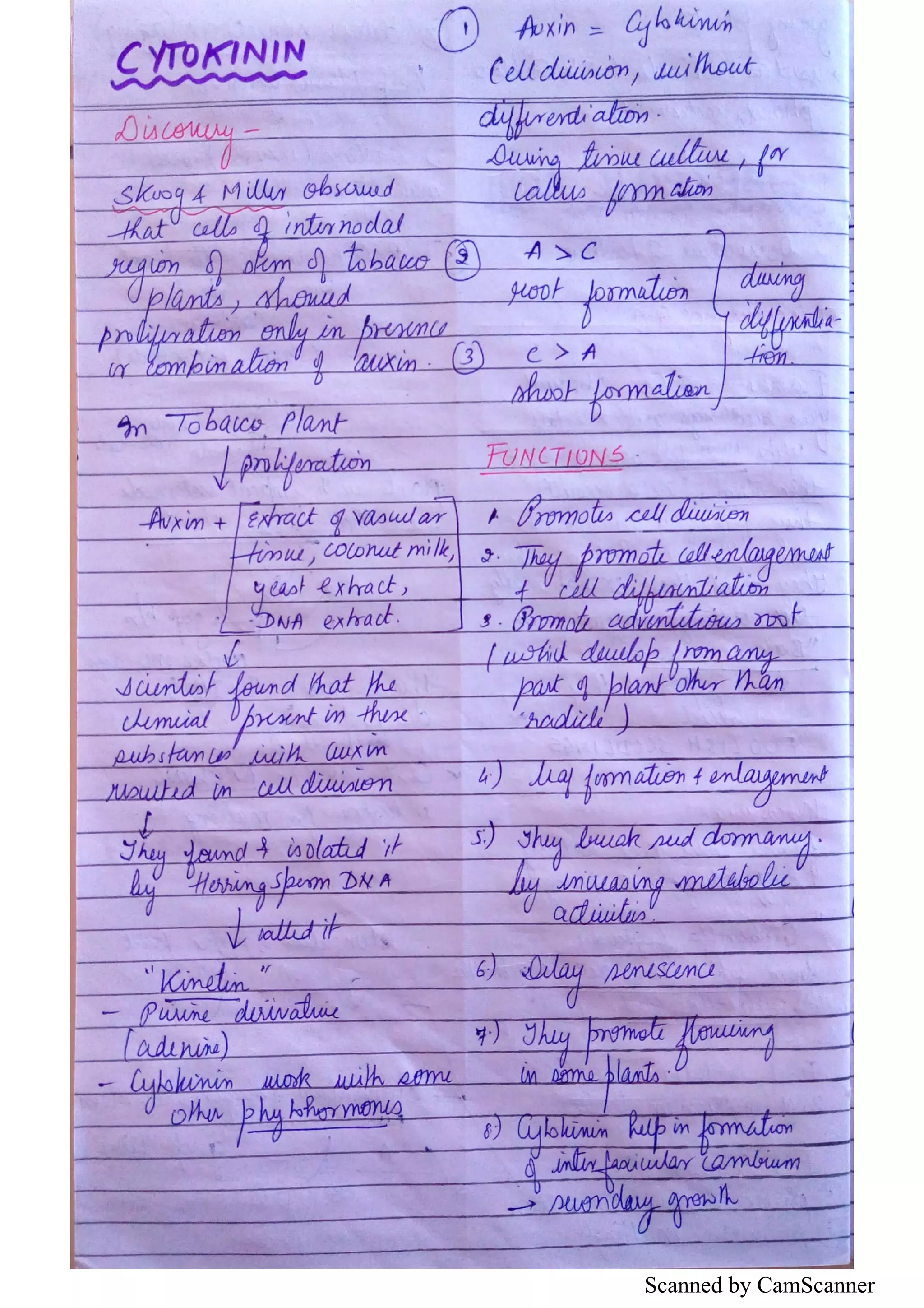 Scanned by CamScanner