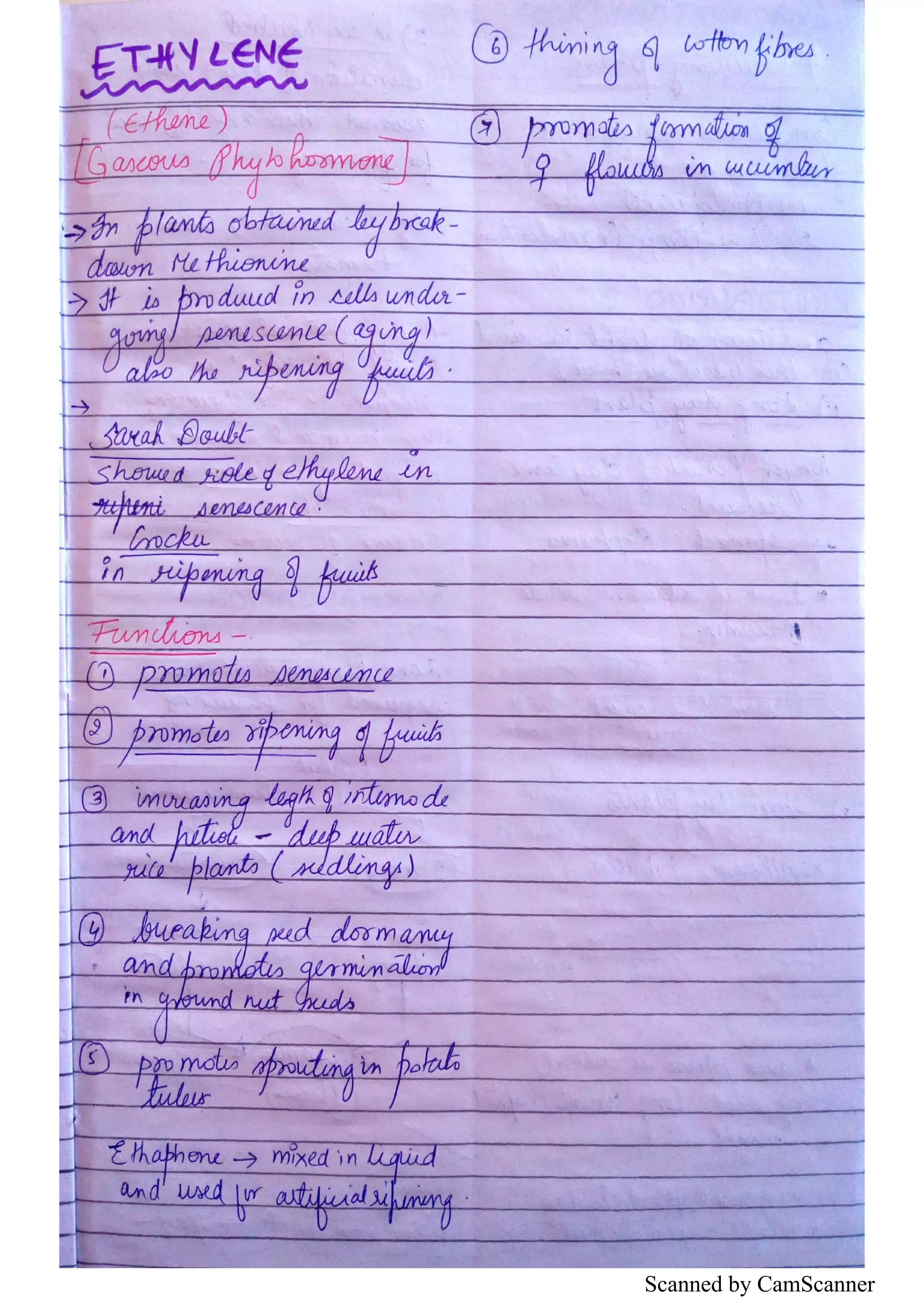 Scanned by CamScanner