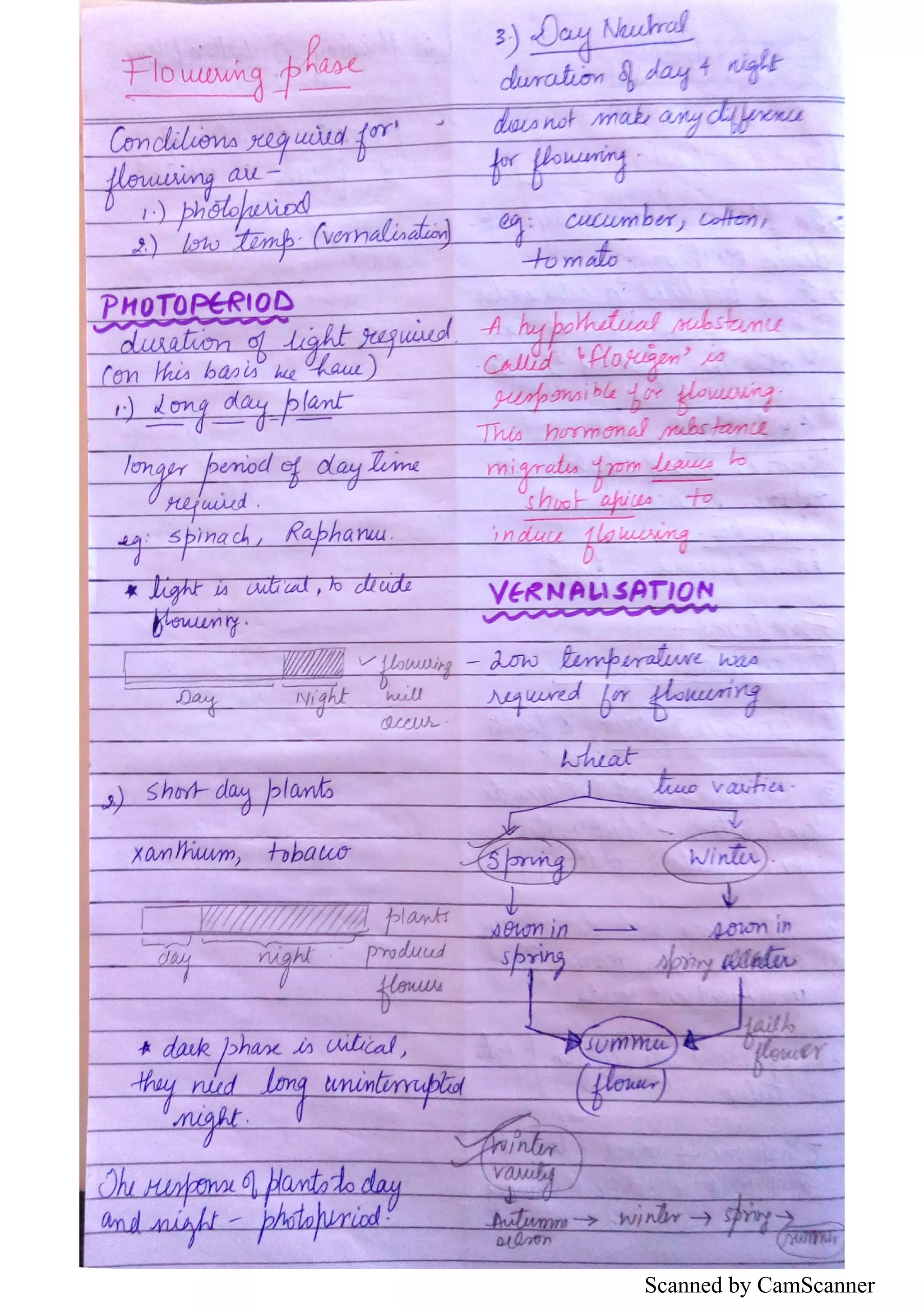 Scanned by CamScanner