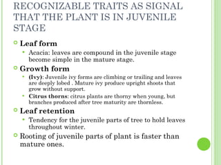 PLANT GROWTH AND DEVELOPMENT lecture notes .ppt