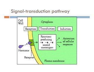 Signal-transduction pathwayg p y
 